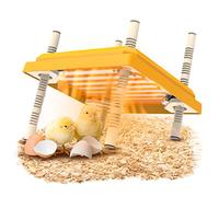 Criadora de Pollitos 10 x 10in, Calentador de pollos, Incubadora de pollos, Placa Calefactora para Pollitos, Altura Ajustable, Mantiene Hasta 15 Polluelos, Para Pollitos, Patitos, Codornices y Pájaros