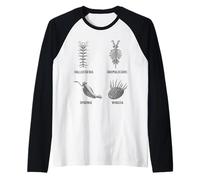 Criaturas Cámbricas Antiguas Ciencia Paleoart Fósil Camiseta Manga Raglan