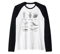 Criaturas Cámbricas Fossil Paleoart Evolución Ciencia Amante Camiseta Manga Raglan