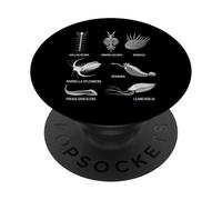 Criaturas Cámbricas Fossil Paleoart Evolución Ciencia Amante PopSockets PopGrip Adhesivo