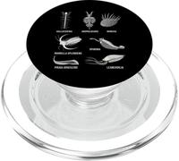 Criaturas Cámbricas Fossil Paleoart Evolución Ciencia Amante PopSockets PopGrip para MagSafe