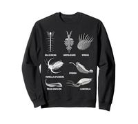 Criaturas Cámbricas Fossil Paleoart Evolución Ciencia Amante Sudadera