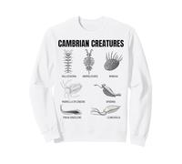 Criaturas Cámbricas Fossil Paleoart Evolución Ciencia Amante Sudadera