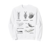 Criaturas Cámbricas Fossil Paleoart Evolución Ciencia Amante Sudadera