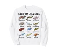 Criaturas Cámbricas Paleontología Fósil Vida Marina Sudadera