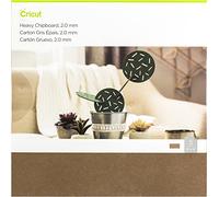 Cricut papier et papier cartonné - 30,5 x 30,5 cm Shimmer papier Sampler - Classique