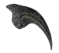 Crigema - Fósiles (garra de alosaurio 20 x 8 cm (réplica))
