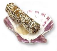 CRIGEMA - Kit Smudging para fumigación - Salvia Blanca y Concha de Viejiza - 100% Natural (YERBA SANTA y CONGHIGLIA DE CAPASANTA)