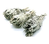 CRIGEMA - Salvia Bianca Sciamánica - X3 Mazzetti di 10 cm/17-25g l'uno - Smudge per Purificazione - Primera qualità dalla California (3)