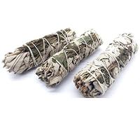 CRIGEMA - Salvia blanca y menta - X3 paquetes de 10 cm ~ 25 g - Mudge para purificación - Primera calidad de California (3)