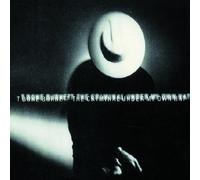 Criminal Under My Own Hat by T-Bone Burnett (2006-06-06)