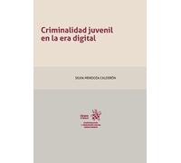 Criminalidad juvenil en la era digital (Criminología y Educación Social)