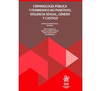Criminología pública y feminismos no punitivos. Violencia sexual, género y castigo (Monografías Maior)