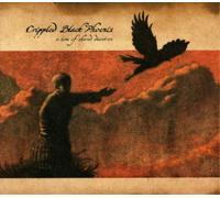 Crippled Black Phoenix – A Love Of Shared Disasters – Vinilo