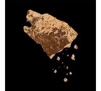 Crippled Black Phoenix Bronze (Vinyl) 12" Album (Importación USA)