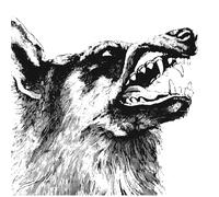 Crippled Black Phoenix - I, Vigilante [Vinilo]