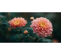 Crisantemo Diamond Painting Adultos, Rojo VioláCeo Pintura Diamante Kit, Punto De Cruz Diamantes Accesorios Kits Art Niños, Pintura Diamante Cristal Bordado Mosaic, Decoración oficinas 90x180cm X-601