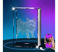 Cristal fotográfico 3D personalizado, imagen grabada con láser 3D, regalos personalizados de duelo de mascotas para perro, cristal fotográfico 3D de mesa para regalos conmemorativos de mascotas