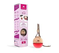 CRISTALINAS Ambientador de Coche - Absorbe los malos olores de tu vehículo con un agradable Aroma a Moras