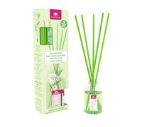 CRISTALINAS Ambientador Mikado 30ml Dama de Noche