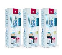CRISTALINAS | Pack 3 Ambientador Mikado | 100% Puro | Larga Duración 8 Semanas | 3x35ml | 0% Alcohol (Bebé y colonia, 3x35ml)