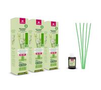 CRISTALINAS | Pack 3 Recambio + Cañas Ambientador Mikado | Recambio Ambientador Hogar | Larga Duración 8 Semanas | 35ml | 0% Alcohol (3X35ml, Dama de Noche)