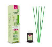 CRISTALINAS | Recambio + Cañas Ambientador Mikado | 100% Puro | Duración 8 Semanas | 35ml | 0% Alcohol (35ml, Dama de Noche)