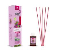 CRISTALINAS | Recambio + Cañas Ambientador Mikado | 100% Puro | Duración 8 Semanas | 35ml | 0% Alcohol (35ml, Moras y Frambuesas)
