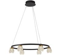 Cristalrecord Lámpara de techo led 6 luces negro y tulipa transparente