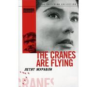 Criterion Collection: Cranes Are Flying [Edizione: Stati Uniti] [Reino Unido] [DVD]