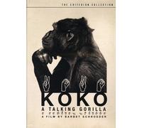 Criterion Collection: Koko - A Talking Gorilla [Edizione: Stati Uniti] [USA] [DVD]