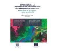 Criterios Para La Liquidación Del Lucro Cesante En La Responsabilidad