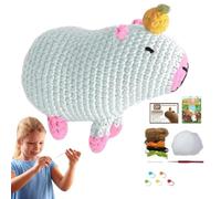 Crochet Kit for Beginners Beginner Crochet Amigurumi Animal Craft Kids