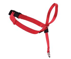 Croci C5066230 Petsafe Collare