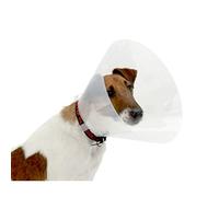 Croci C5AR0210, Collar para Perros, Transparente, 12,5 cm