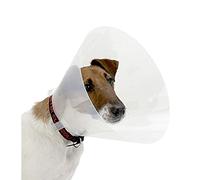 Croci C5AR0220, Collar para Perros, Transparente, 20 cm
