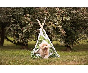 Croci Cojín en Forma de Hamaca Perros y Gatos - Microfibra Suave | Caseta para Perros y Gatos con Suave cojín Acolchado en el Interior | Jungla Tipi fantasía | Medidas: 50X48X70CM
