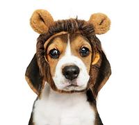 Croci Cruces Melena de León para Perros, Melena de León para Gatos, Peluca con Orejas, Ajustable, para Perros y Gatos Disfraz de León, para Cosplay, Vacaciones, Sesión de Fotos | Medidas 8CM