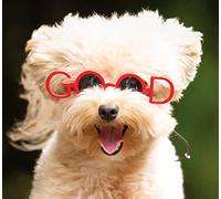 Croci Dog Crosses Goggles, Gafas de Sol para Perros con cordón Ajustable y Correa de Goma, Gafas para Mascotas | Buena fantasía | Mide 8,5 CM
