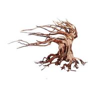 Croci Madera Oriental Wind 6 Pequeña 1 Unidad 21 g