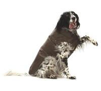 Croci, Montreal, Abrigo Para Perros, Abrigo De Invierno, Chaqueta Impermeable, Talla 35Cm, Marrón