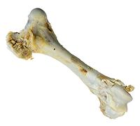 Croci Niki Natural Barf Hueso Bovino King Size Snack para Perros Natural Barf Dieta Barf 1,3 Kg