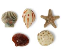 Crocs Symbols Shoe Charm | Personalize with Jibbitz for Mixte, Felices fiestas, Medium Wide, 5 Pack, Plástico