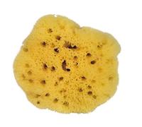 Croll & Denecke L080 - Esponja Natural del mar Mediterráneo (poro Fino, para Cuidado Facial, 8 cm)