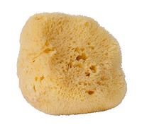 Croll & Denecke L160 - Esponja Natural del mar Mediterráneo (poro Fino, 16 cm)