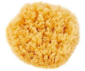 Croll & Denecke P180 - Esponja Natural del mar Mediterráneo, 18 cm