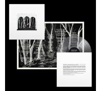 Crooked Wing (Edición deluxe color) - Vinilo trasnparente