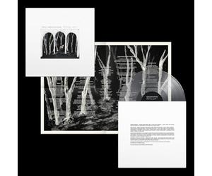 Crooked Wing (Edición deluxe color) - Vinilo trasnparente