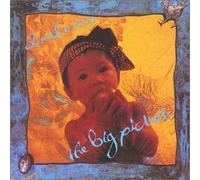 Cross,David - Big Picture