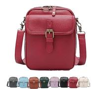 Crossbody Leather Bag, Retro Double-Layer Large Capacity Mini Crossbody Bags, Anti-Theft Shoulder Bags with Card Slots (Red)